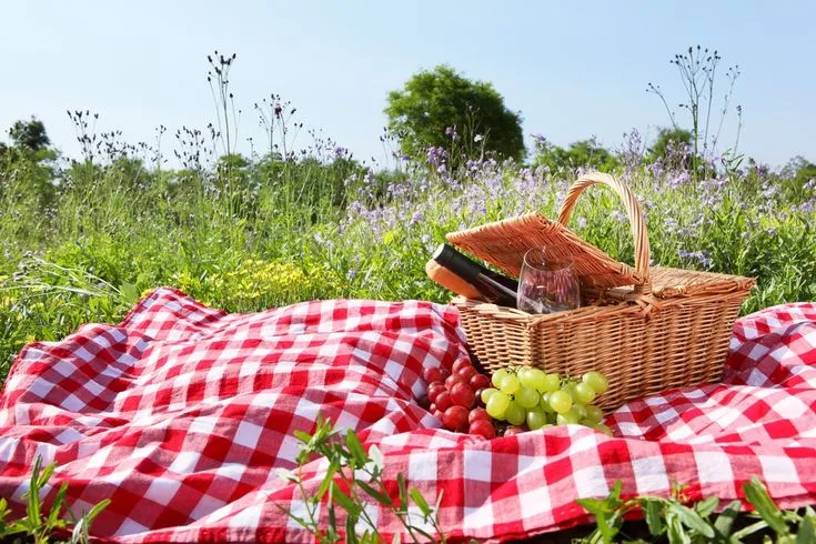 Picnic