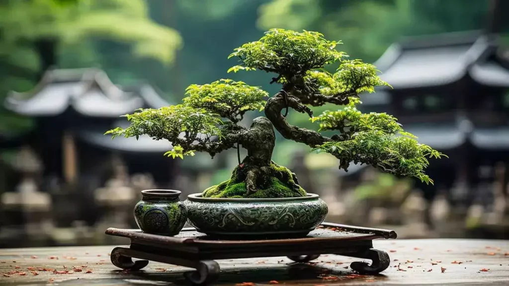 Bonsai Gardens