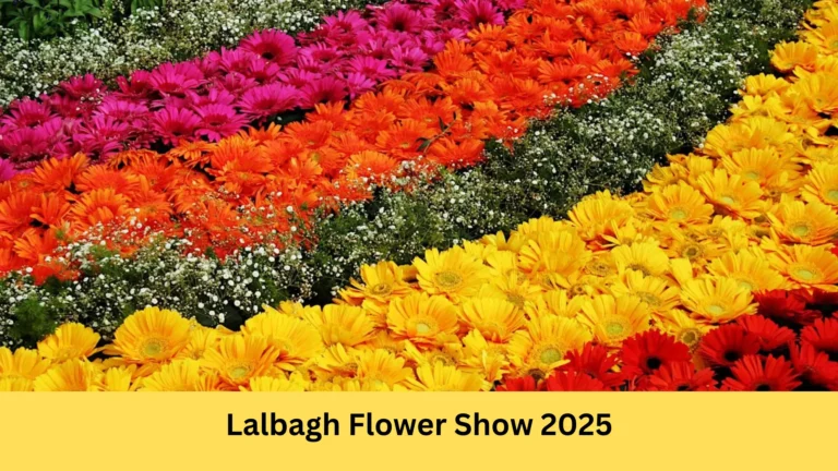 Lalbagh Flower Show