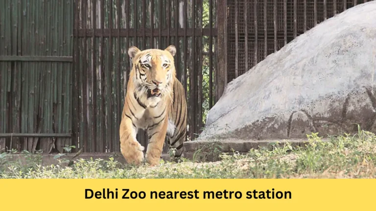 Delhi Zoo nearest metro station