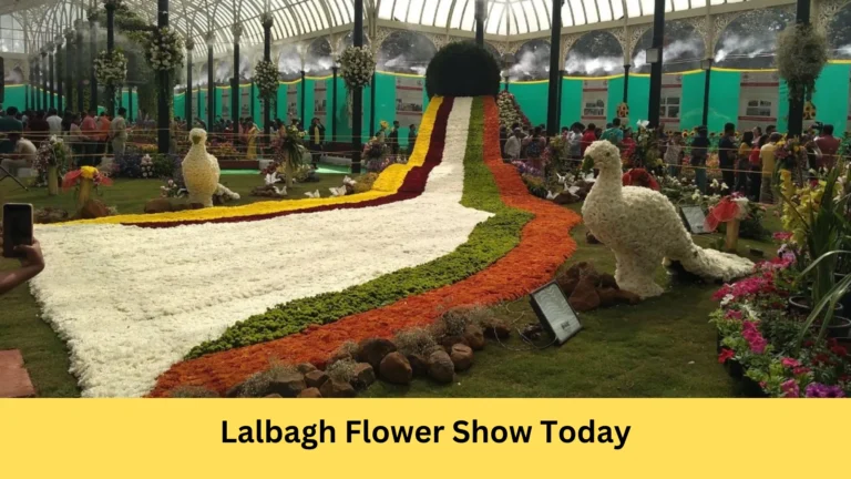 Lalbagh Flower Show Today