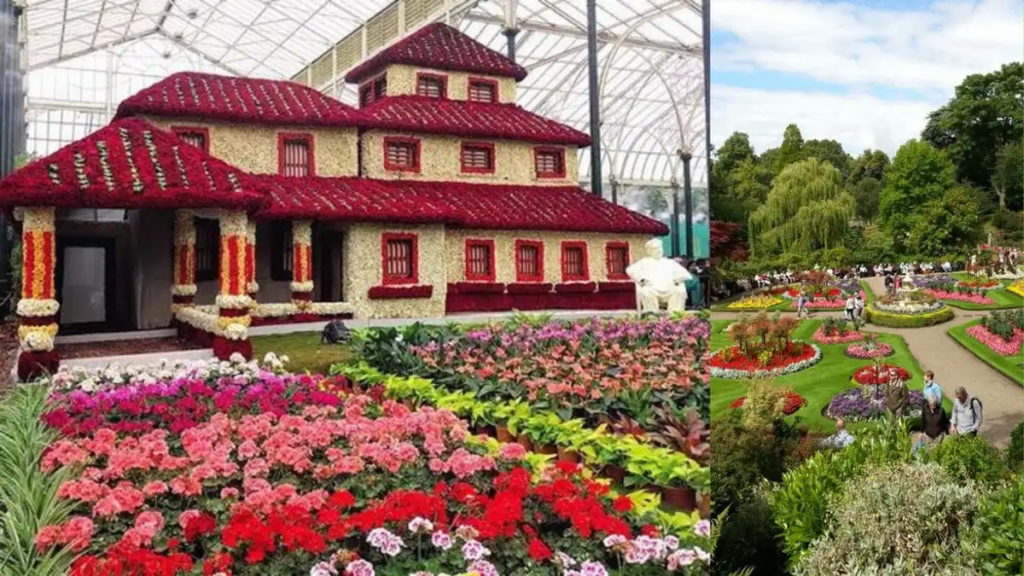 lalbagh flower show