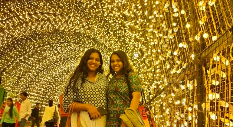 Mandore Garden Light Show