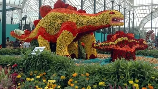 Lalbagh Flower Show